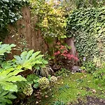 Cozy 1-Br Garden Flat For Up To 4 In East London