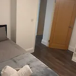 Modern 2 Bed Flat Crouch Hill N19