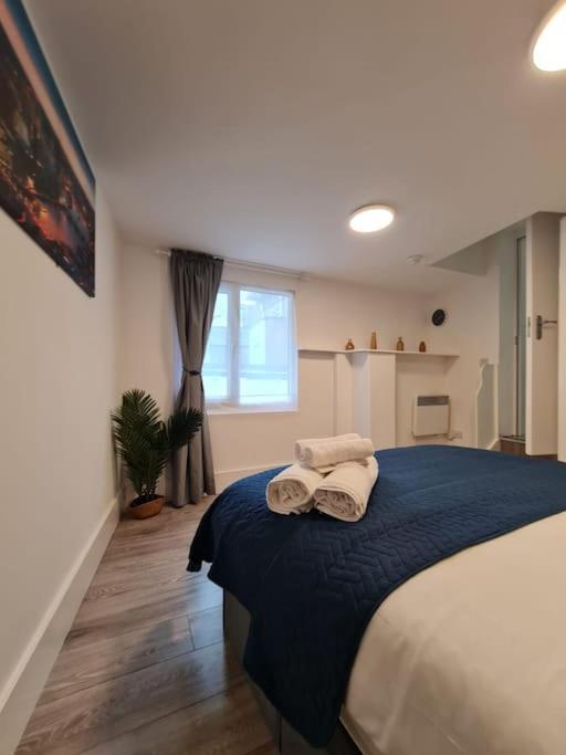 Stylish And Spacious 1 Bedroom Kensal Tube 1a Londen