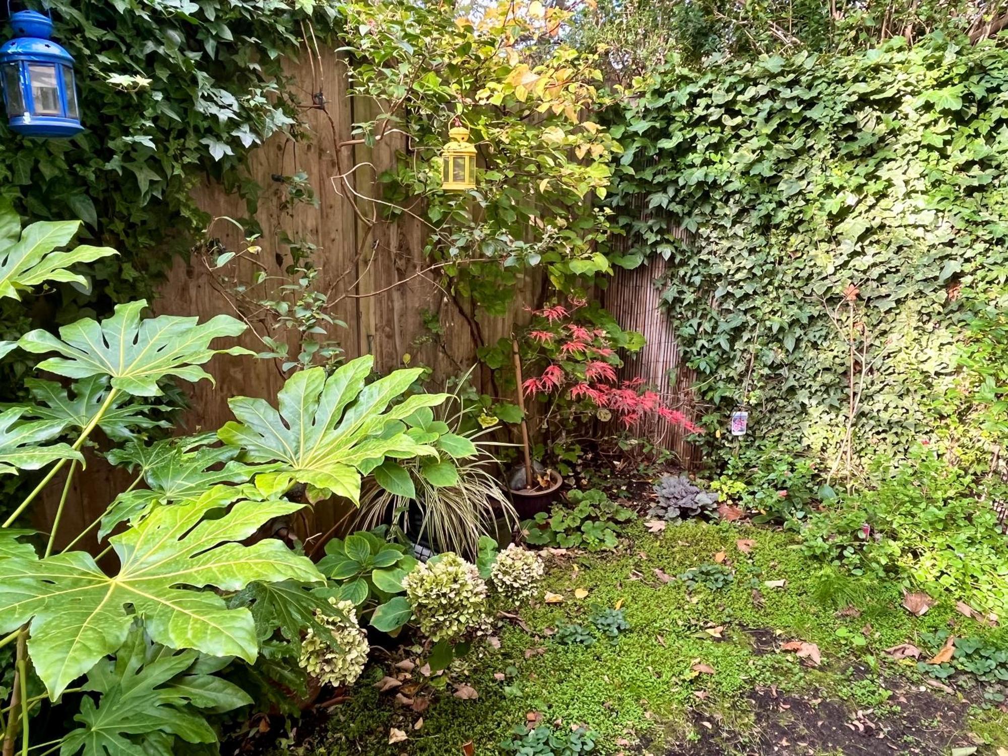 Apartment Cozy 1-br Garden Flat For Up To 4 In East *
