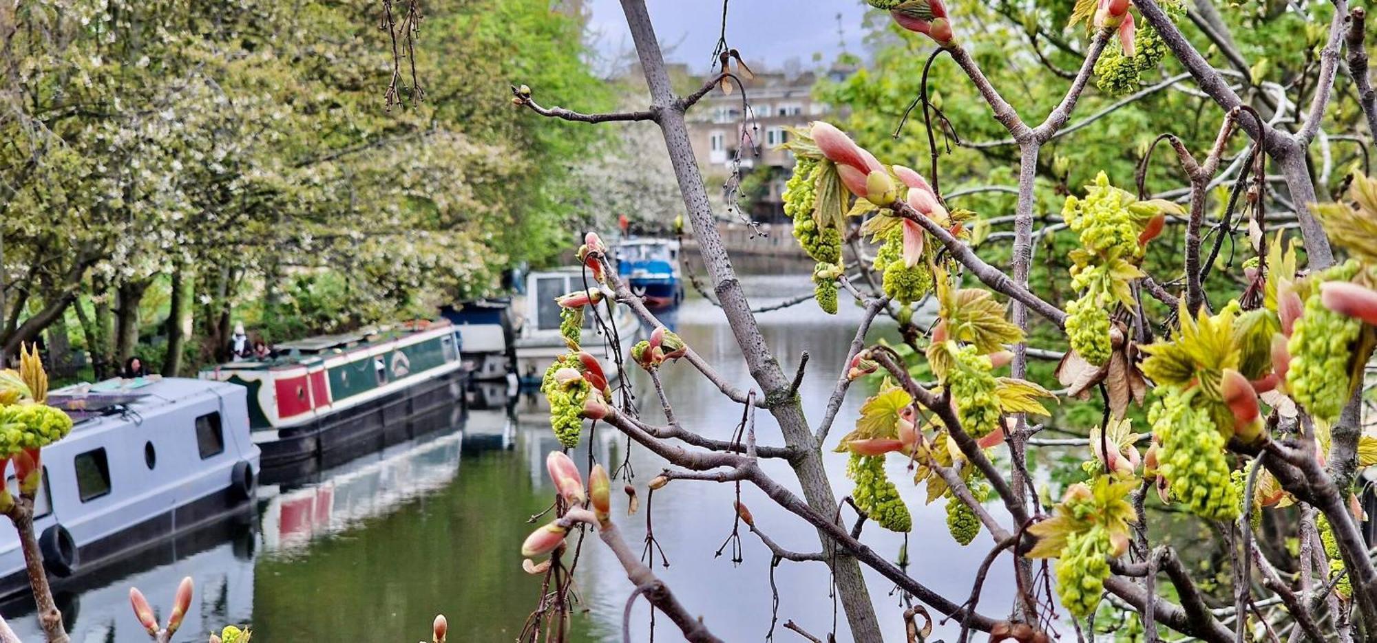Apartment Canal View 3 Bed Flat - Little Venice! *