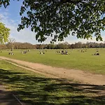 Modern 2 Bedroom Apartment In Peckham London