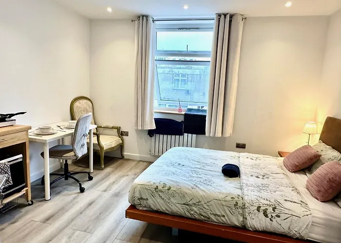 Spacious En-Suite Private Bath And Kitchen Studio Flat Canary Wharf No 3