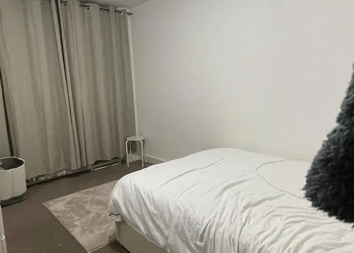 Spacious Room In Central