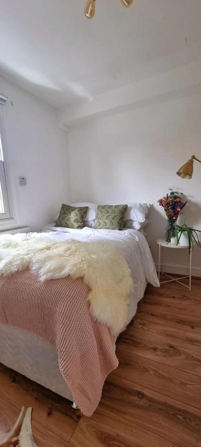 Stylish 3 Bedroom Townhouse In Brockley With Large Garden Feriehus London