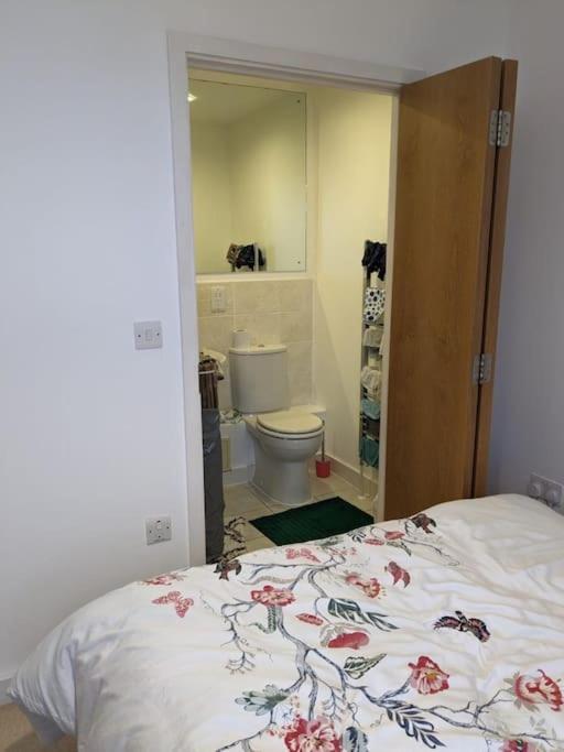 Appartement 2 Bed 2 Baths Apt In Stratford Londen