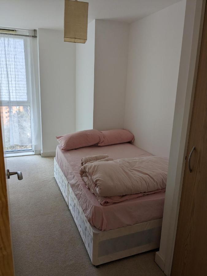 Appartement 2 Bed 2 Baths Apt In Stratford Londen