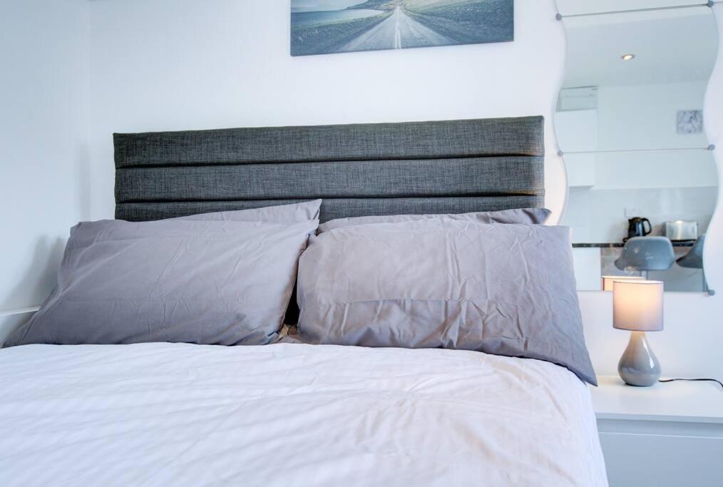 Comfy Lewisham Studio: Access & Free Parking * London