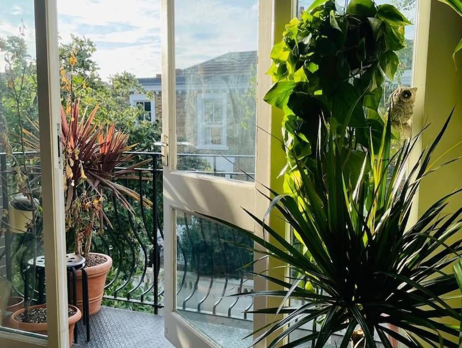 Large, Plant Filled Flat With Balcony Leilighet