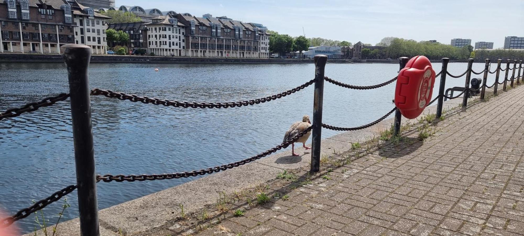 Riverside 3br With Easy Transport 20mins To Centre