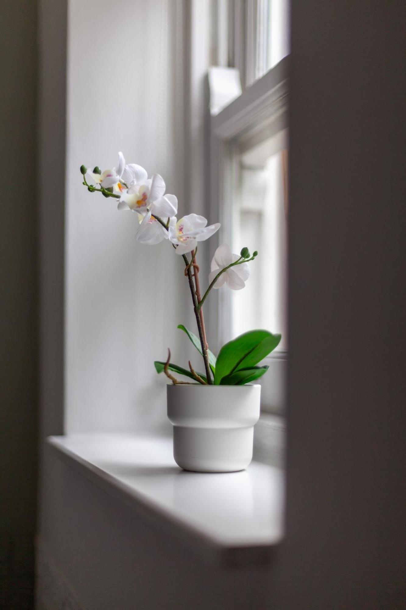 The Hackney Luxury Flat Londen