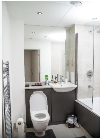 Lodge Kayz Lodge- Luxury Ensuite-private & Shared In A New House At The Olympic Village Overlooking Stratford Westfield And Tube Station London