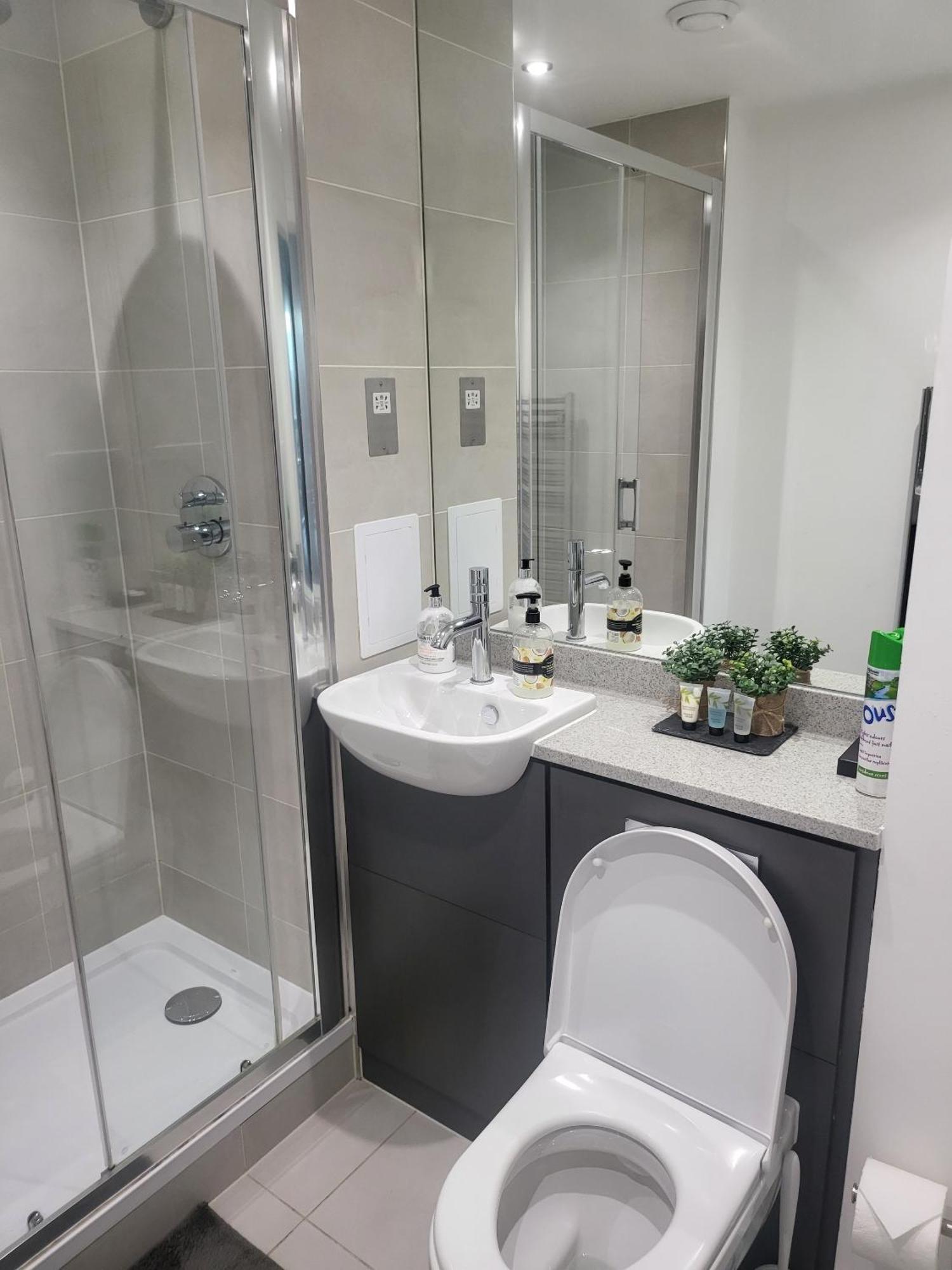 Lodge Kayz Lodge- Luxury Ensuite-private & Shared In A New House At The Olympic Village Overlooking Stratford Westfield And Tube Station *