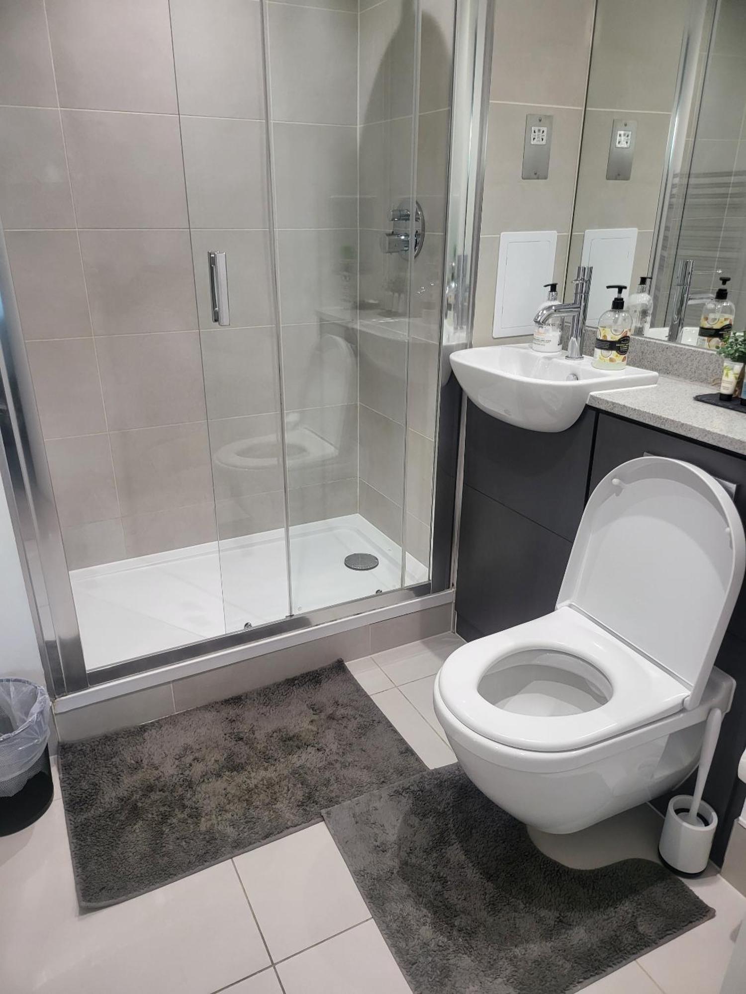 Kayz Lodge- Luxury Ensuite-private & Shared In A New House At The Olympic Village Overlooking Stratford Westfield And Tube Station London