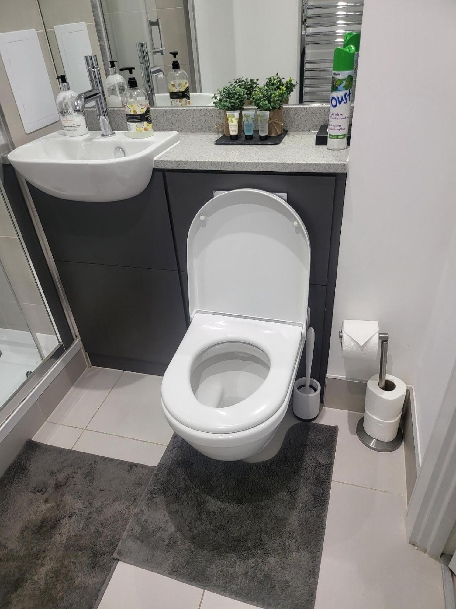 Kayz Lodge- Luxury Ensuite-private & Shared In A New House At The Olympic Village Overlooking Stratford Westfield And Tube Station Lodge
