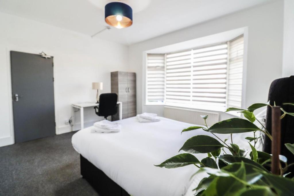 Urban Oasis Bed and breakfast