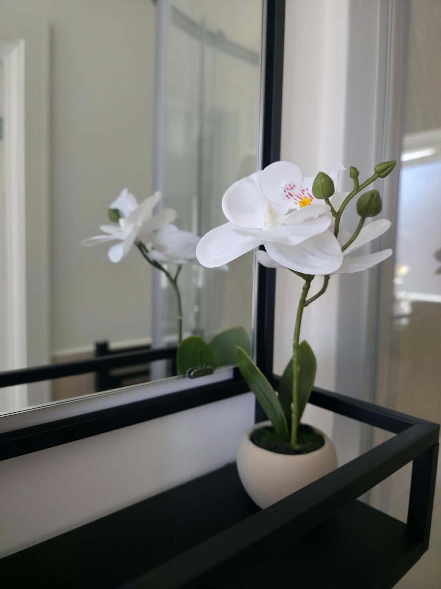Elegant Flat 4 In London