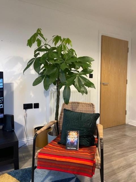 Lovely 2 Bedroom Flat With Free Parking And Wifi * London