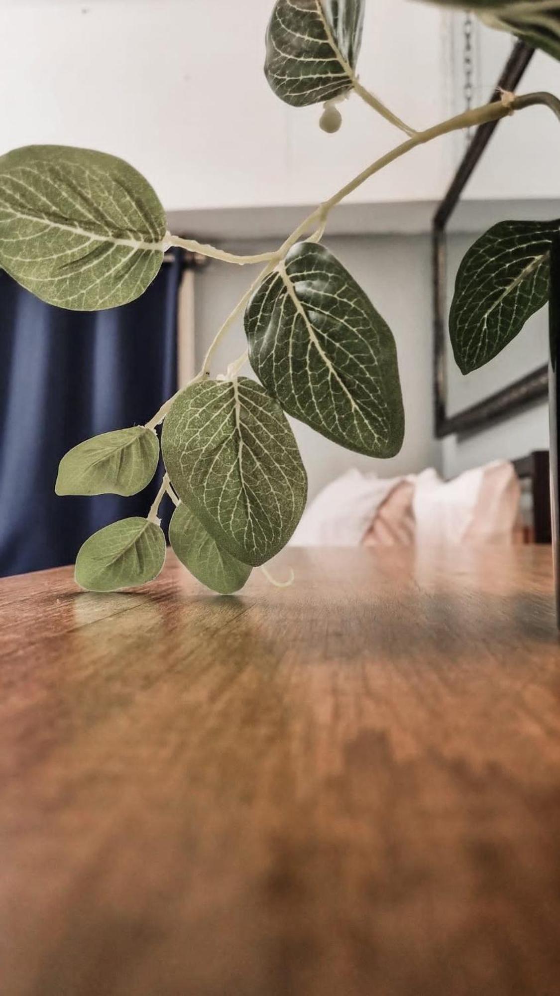 Stylish & Your East Hideaway Apartment London