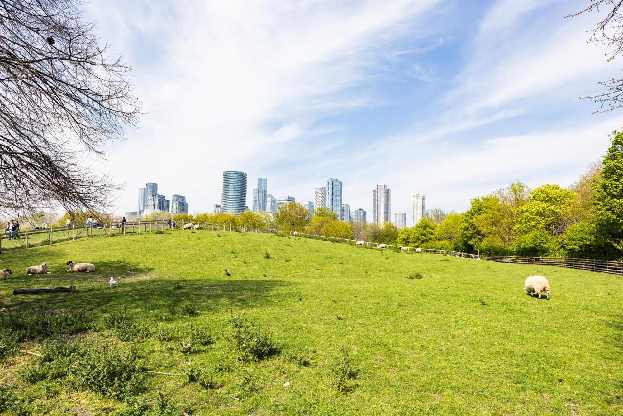 Stylish 2 Bedroom London Home With Garden Free Parking Smart Tvs Close To Thames Riverside And Canary Wharf *