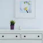 Stunning 1 Bedroom Apartment In Central London