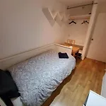 Small Elephant