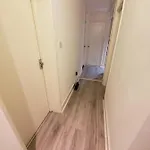 Small Elephant
