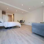 Stylish Converted Ground Floor Studio -