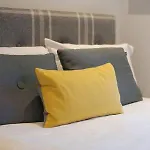 Trendy Hampstead Flat Rh7