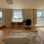 Very Large Ensuite Room With Wonderful View Over The River Thames In A Peaceful & Calm Residential Building - Shared Flat With 1 Host