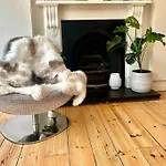 Luxury 4 Bedroom House In London Featured On Tv