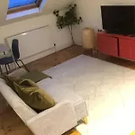 Fabulous Central Studio Apartment - Flat 4 Highbury