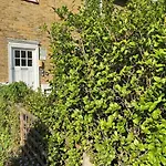 One Bedroom Putney Village Flat