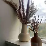 Flat In Kings Cross