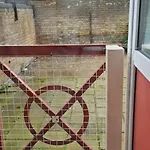 Small East London Room -Girls Only