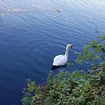 Idyllic Flat Over River Lea