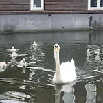 Lovely Canal Boat In Little Venice By Paddington For Family & Friends