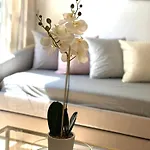 Hyde Park Family Apartment