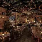 The Mandrake (Adults Only)