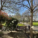 Centrally Located Studio Flat In Sw1