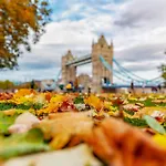Two Bedroom Flat-Heart Of London