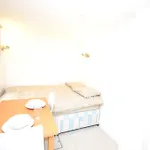 Lovely Hyde Park Studio Apartment