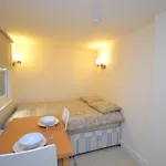 Lovely Hyde Park Studio Apartment