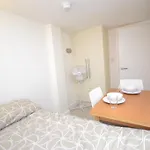 Lovely Hyde Park Studio Apartment
