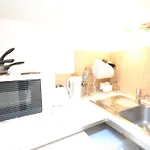 Lovely Hyde Park Studio Apartment