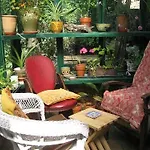 Grove Guest House