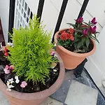 Mina House Hotel