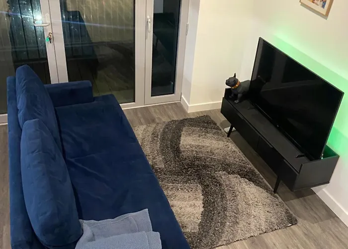 Modern, Bright And Convenient