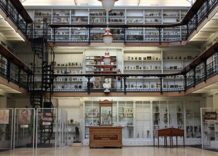 Herbal Hill Farringdon London