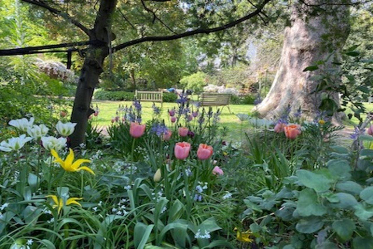 Eccleston Square London